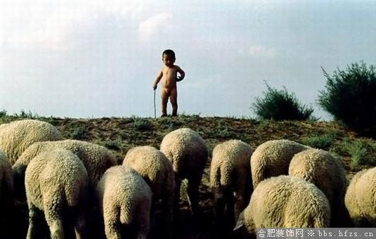 38.小小牧羊人。这不是艺术摄影，这是现实社会实实在在存在的现象