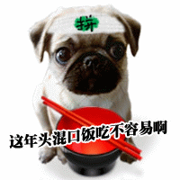 2007101115153912060.gif