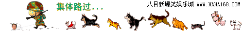 161.gif
