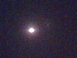 IMG0111A.jpg