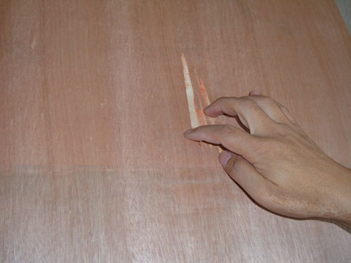 DSCF3522.jpg