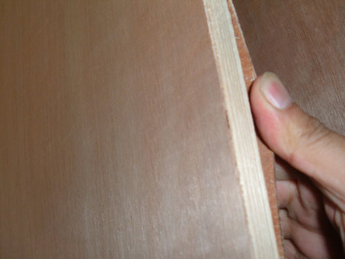 DSCF3525.jpg