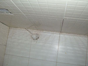 059.8.JPG