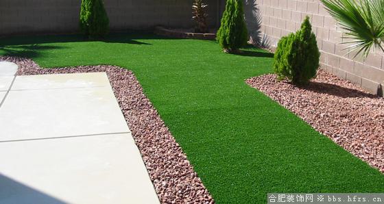 backyard.jpg