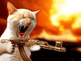 9E3CDB4C0C01970CD90D5F087CBCF809.GIF
