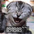 未命名.gif