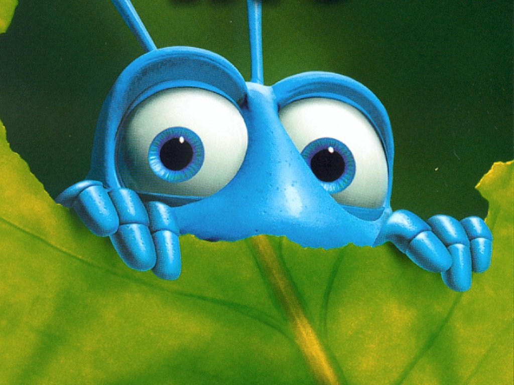 img1.gif