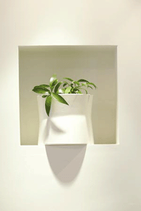 6.gif