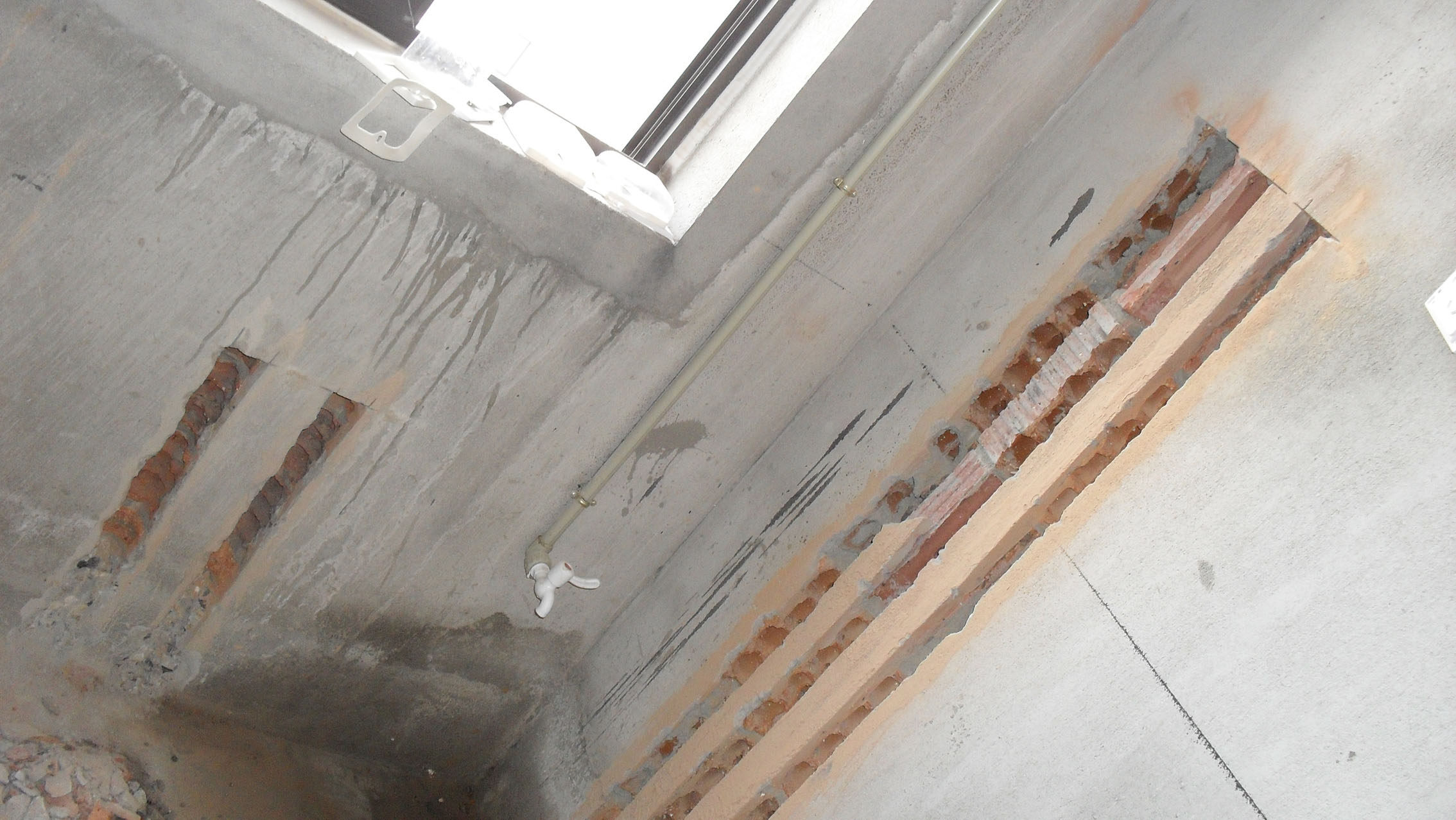 SDC10113.JPG