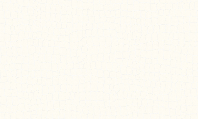 43833-副本.jpg