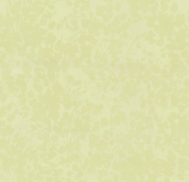 EH60102.jpg