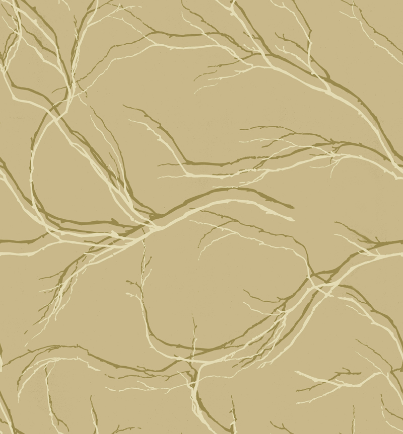 EH60307.jpg