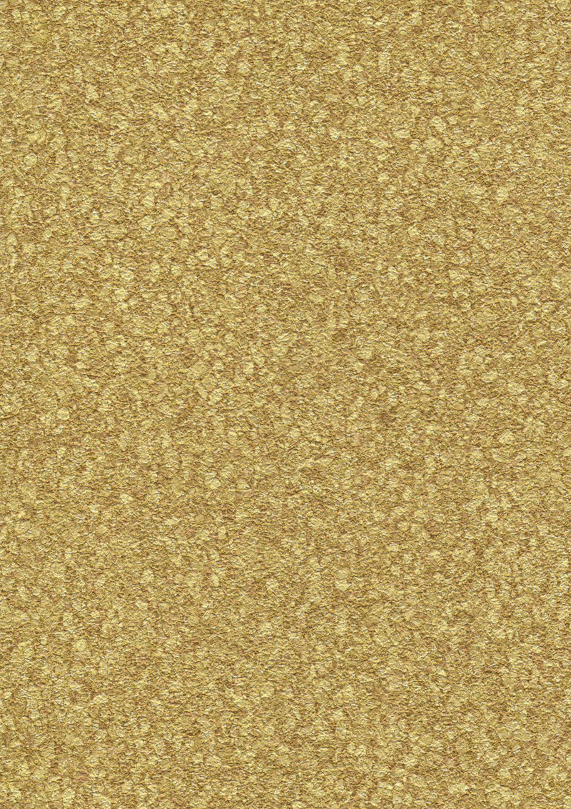 aro804.jpg