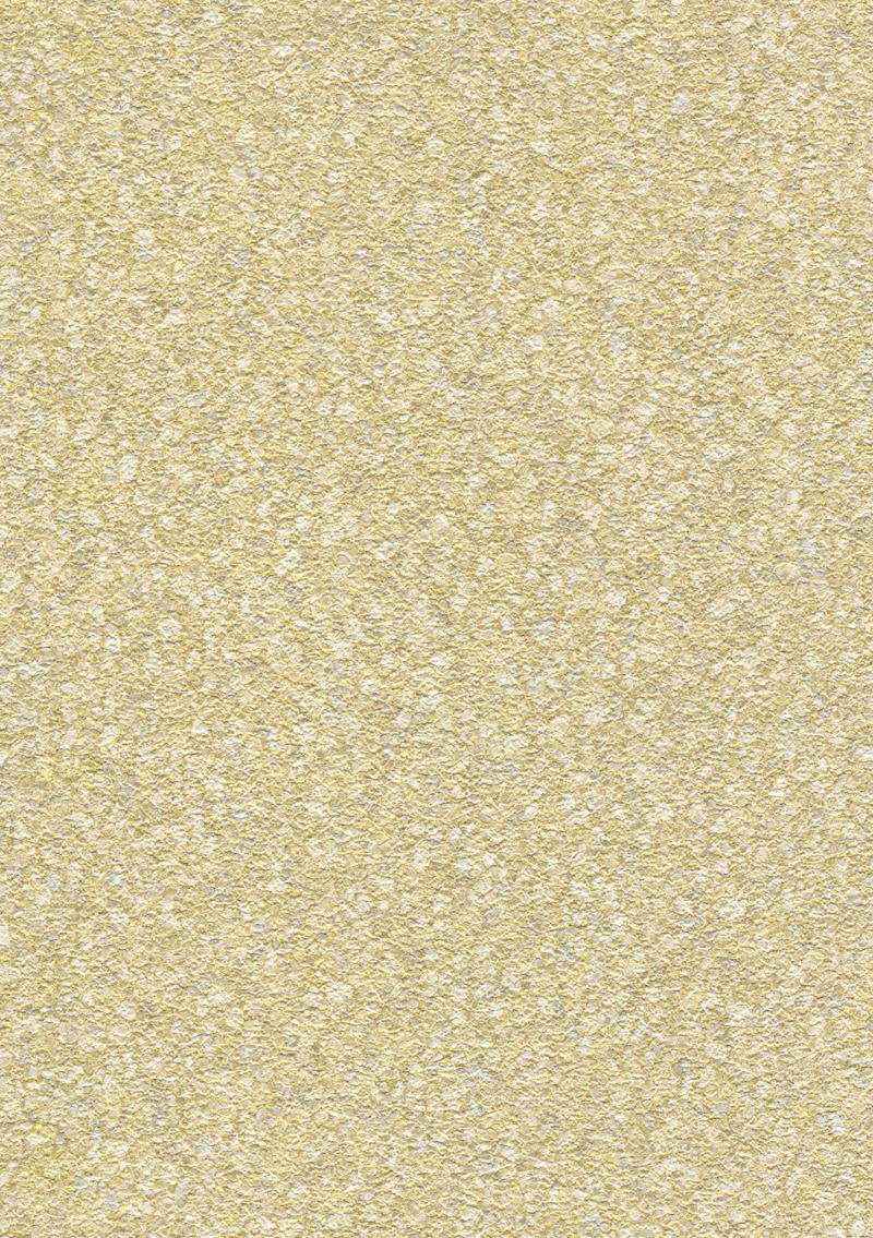 aro803.jpg