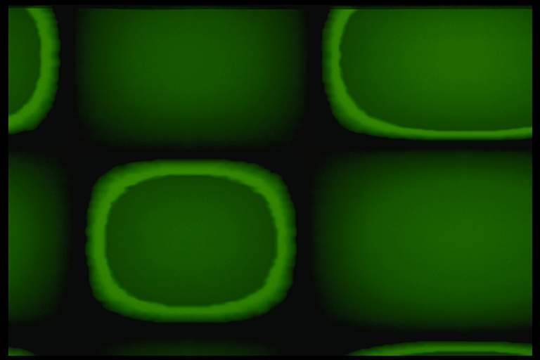 20081019_0c1a3a1ab89df32f15c5uRD6kG1EKjCj.jpg
