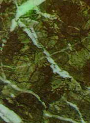95.jpg