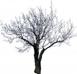 c0d458410dbdd602502e8bf97a9c181e_s.jpg