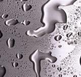 20090516_e6d0c796302ec0d4d0b0dQS3Bvqc7gqW_s.jpg